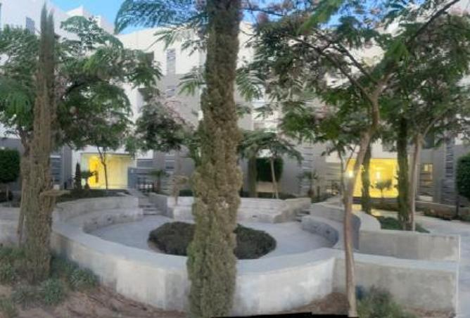 8150608 - صورة العقار 2