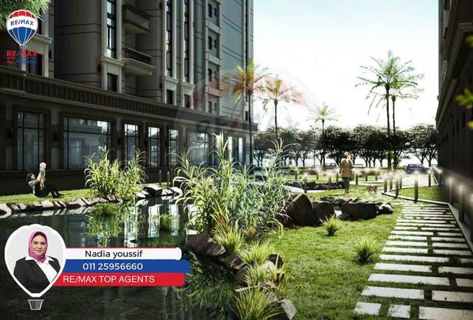 8150753 - Property Image 3