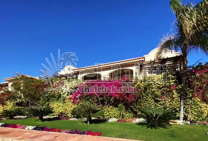 8151294 - Property Image 3