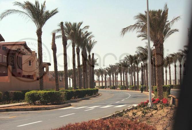 8335450 - Property Image 3