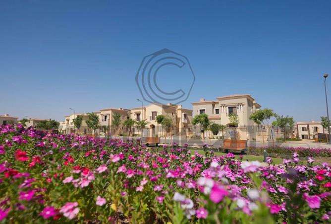 8152363 - صورة العقار 2