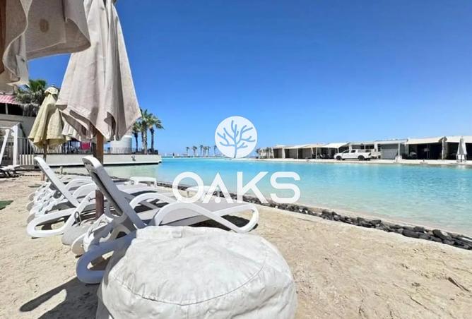 8324562 - Property Image 3