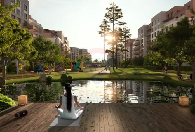 8155719 - صورة العقار 2