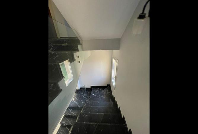 8155717 - صورة العقار 3