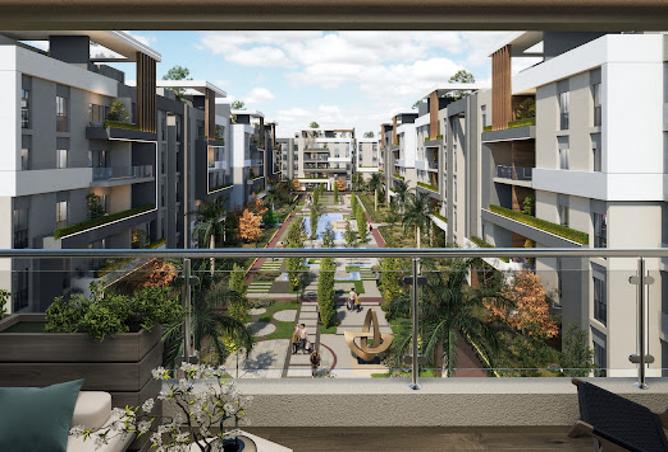 8156309 - Property Image 3