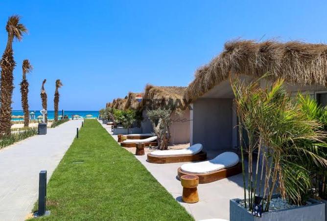 8164863 - صورة العقار 3