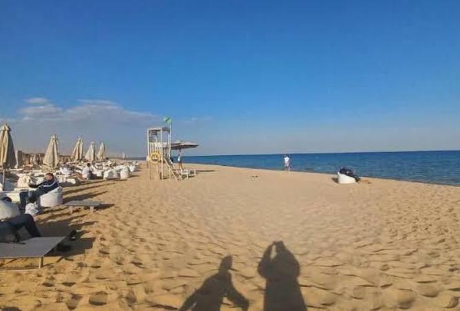 8156485 - صورة العقار 3