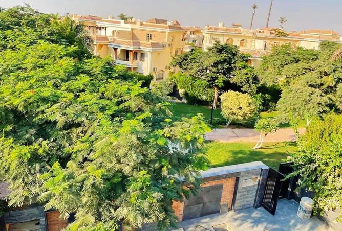 8176653 - صورة العقار 2