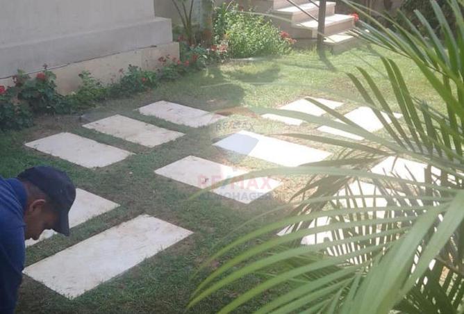 8158656 - صورة العقار 2