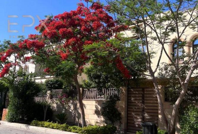 8167216 - الصورة الرئيسية للعقار