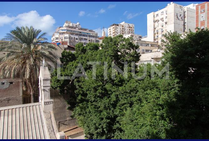 8158813 - Property Image 3