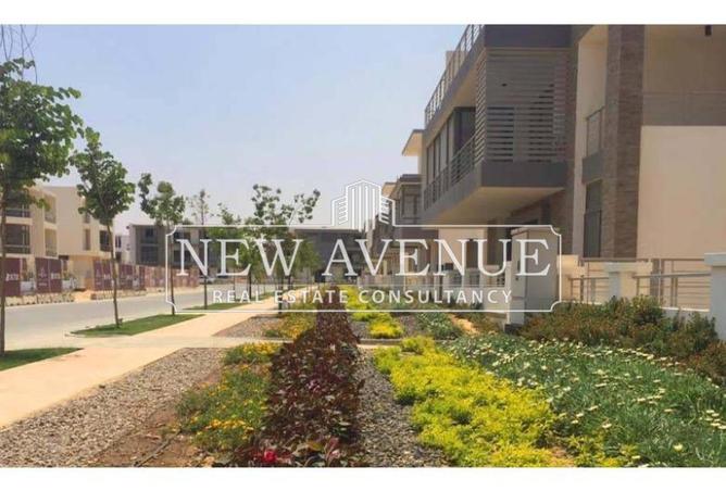 8319452 - Property Image 3