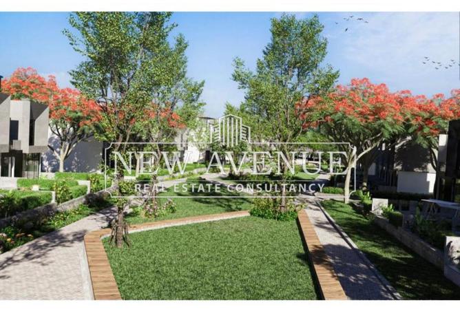 8413495 - Property Image 3