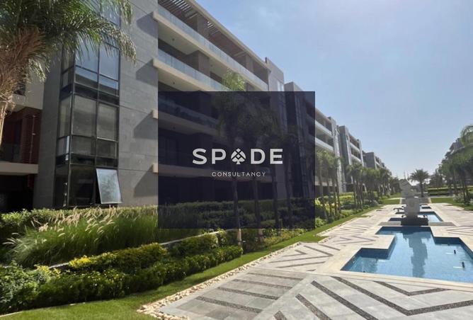 8394407 - Property Image 3