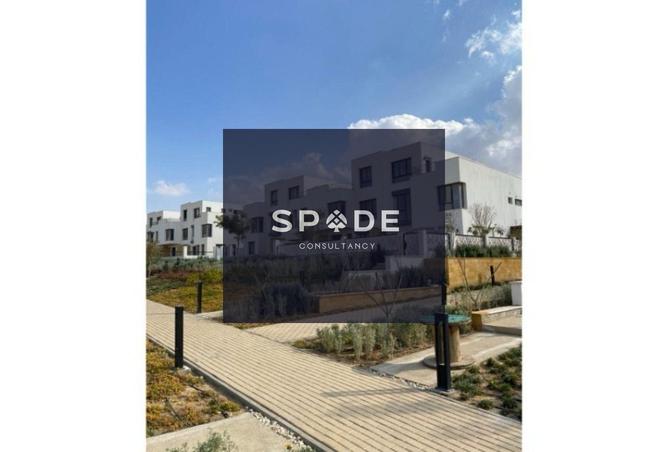 8394428 - Property Image 3