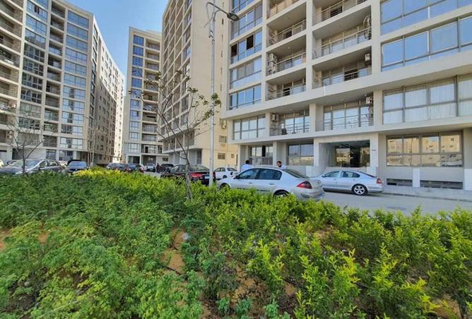 8165917 - Property Image 2