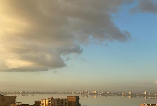 8162533 - صورة العقار 3