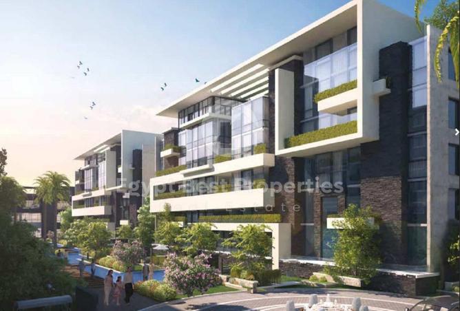 8163272 - Property Image 3