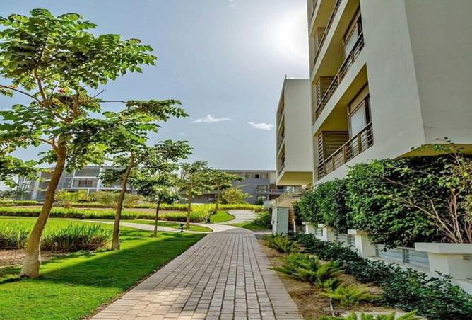 8164236 - صورة العقار 3