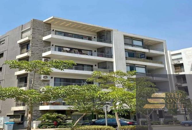 8163817 - Property Image 3