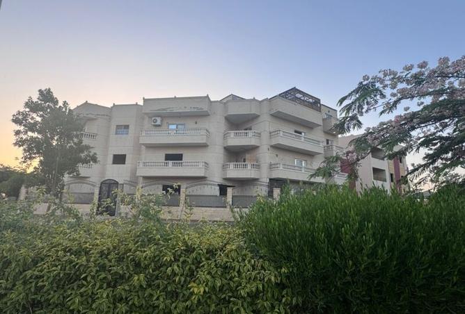 8163608 - صورة العقار 2