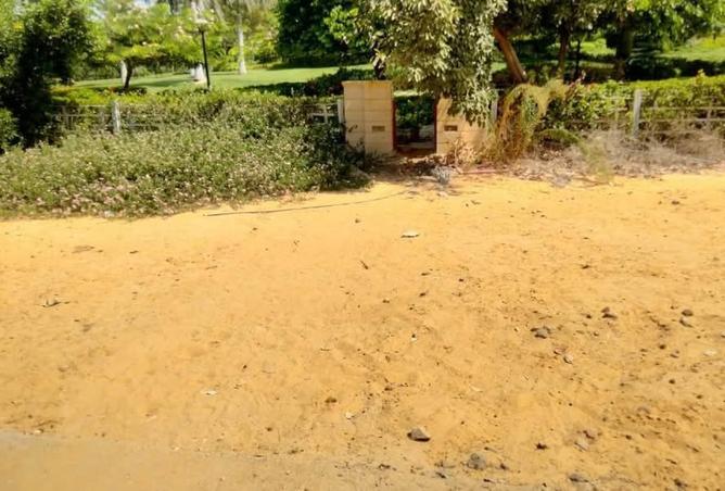 8163811 - صورة العقار 2