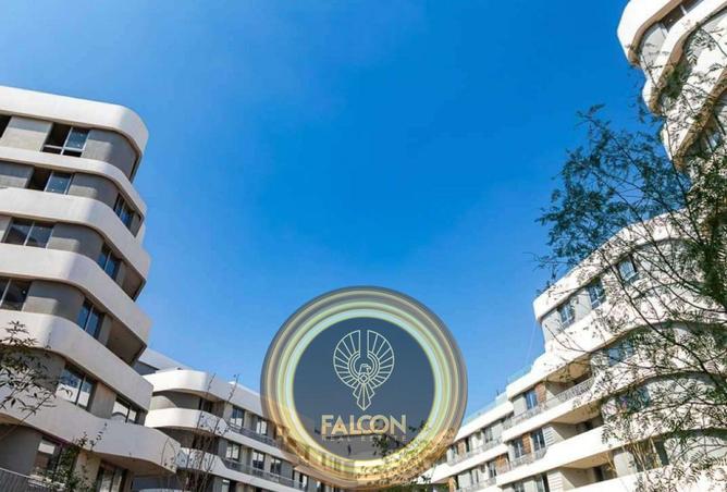 8164032 - Property Image 3