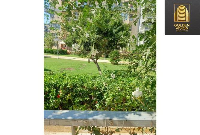 8164047 - صورة العقار 2