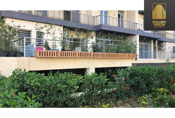 8164047 - صورة العقار 3