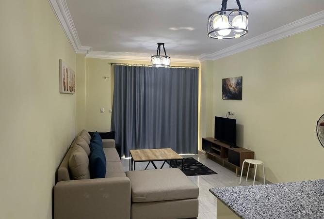 8164267 - Property Image 3