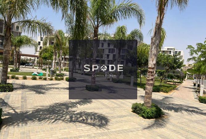 8395208 - صورة العقار 3