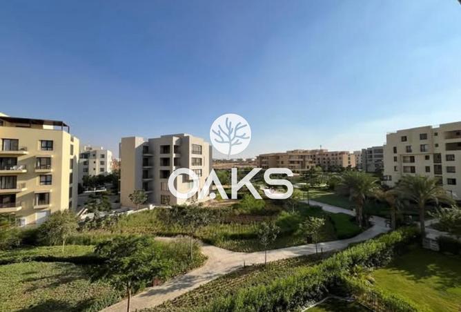 8324869 - Property Image 3