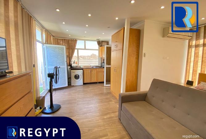 8165522 - Property Image 3