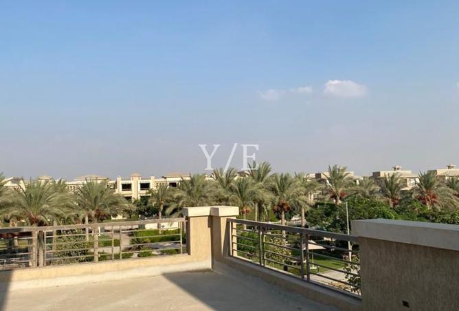 8165974 - صورة العقار 3