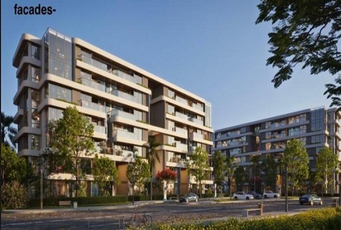 8167114 - Property Image 3