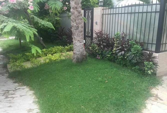 8167410 - Property Image 3