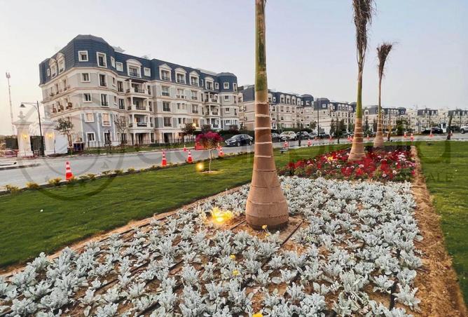 8167259 - صورة العقار 3