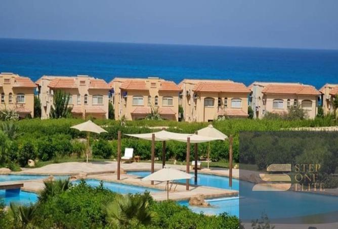 8167308 - صورة العقار 3