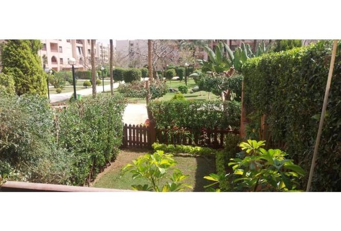 8236303 - Property Image 2