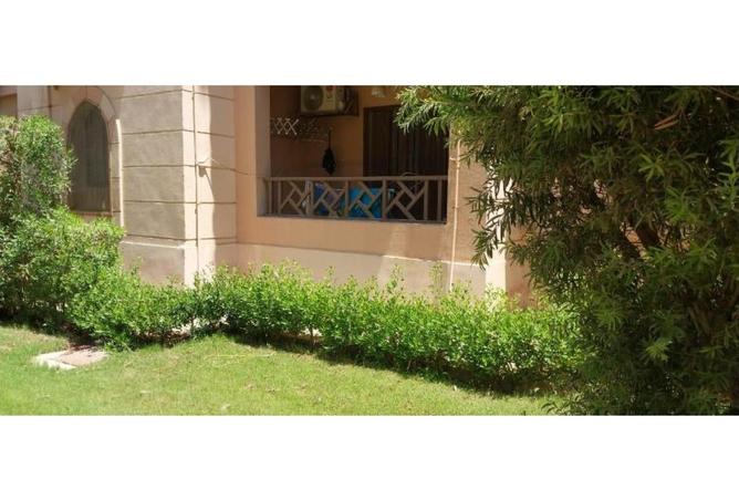 8236303 - Property Image 3