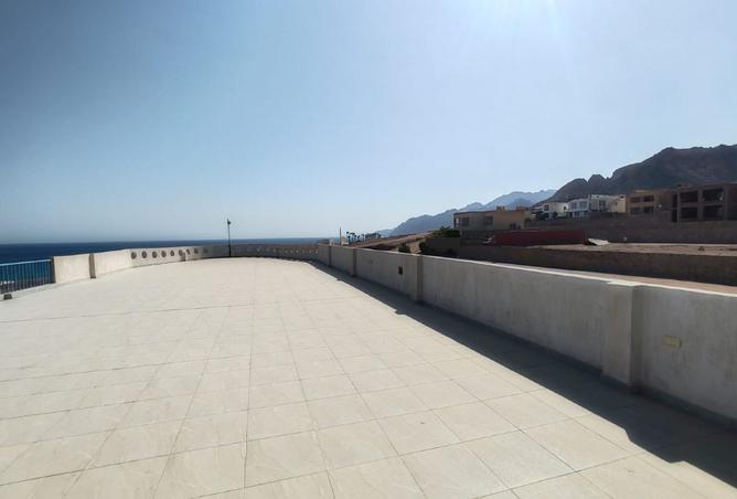 8167637 - صورة العقار 2