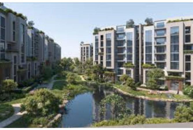 8167881 - Property Image 3