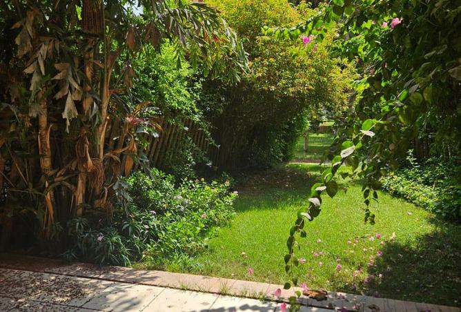 8168557 - صورة العقار 3