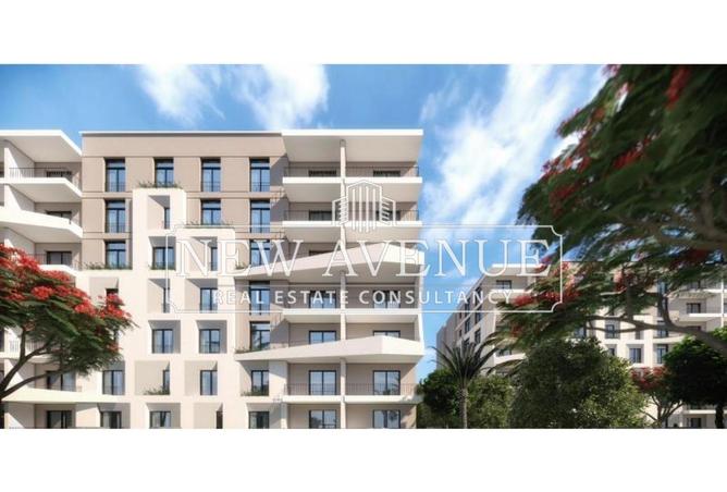 8170091 - Property Image 3