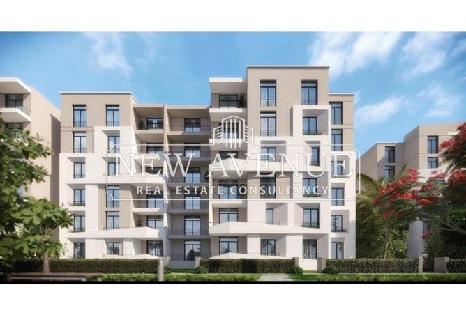 8170091 - Property Image 2