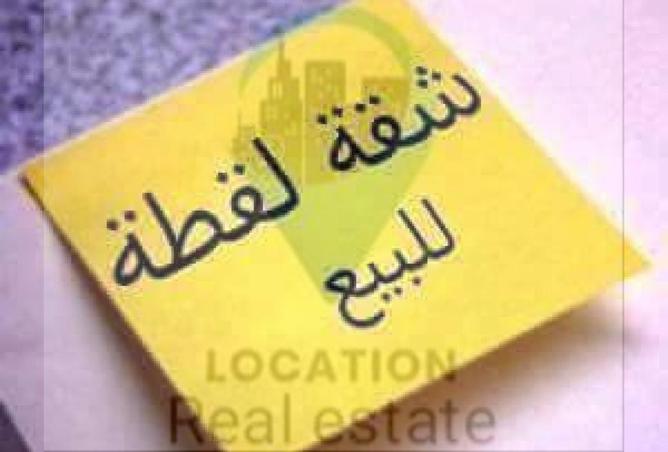 8169077 - Property Image 3