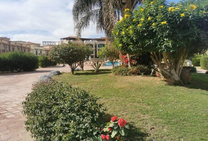 8169451 - Property Image 2