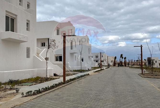 8169992 - صورة العقار 2