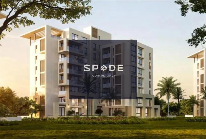 8171677 - Property Image 3