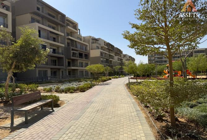 8172635 - Property Image 3